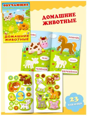 Набор фигурок Животные Африки \"Сафари-парк\", развивающие игрушки для детей,  обучающий детский набор из 5 видов животных в комплекте - купить с  доставкой по выгодным ценам в интернет-магазине OZON (845462689)