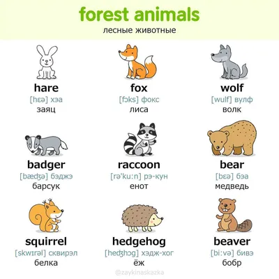 Изучаем слова. Домашние животные+звуки.Обучающее видео для детей - YouTube