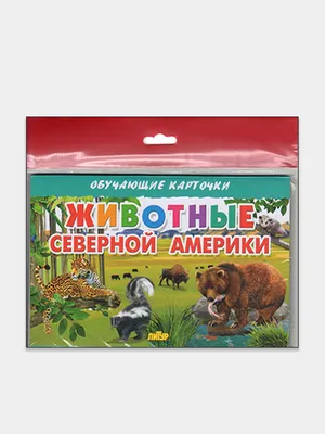 Обучающие карточки по методике Г. Домана «Дикие животные», 12 карт, А6 -  купить недорого в Екатеринбурге с доставкой | Интернет магазин игрушек