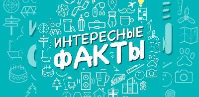 Очень интересные факты! | Интереснный Факт | Дзен