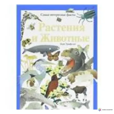 НЛО, духи и неземная красота. Самые интересные факты о Байкале - РИА  Новости, 22.07.2023