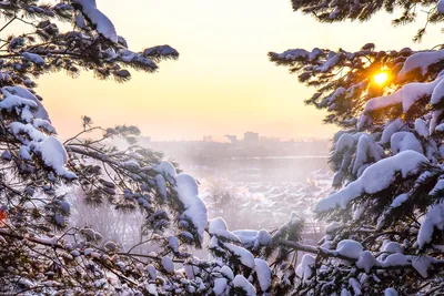Очень холодно в середине снег Стоковое Фото - изображение насчитывающей  средне, мужчина: 207189502