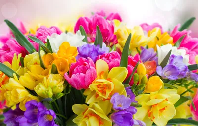 Топ 7 популярных цветов для весеннего букета