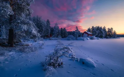 Amazing planet - Зимняя ночь в деревне | Facebook