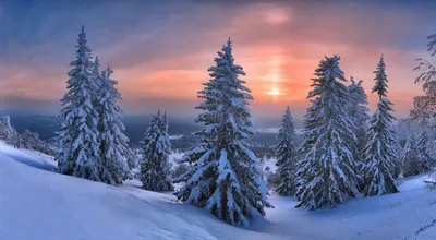 Картинки красивые зима снег зимний пейзаж (70 фото) » Картинки и статусы  про окружающий мир вокруг