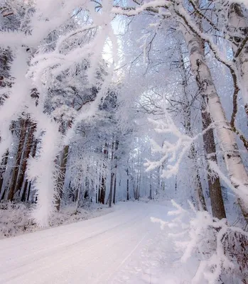 Красивые зимние пейзажи России