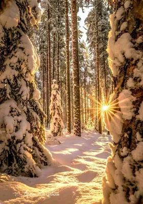 Где в мире самая красивая зима: 20 волшебных мест | WDAY