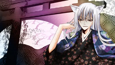 Обои на рабочий стол Томое / Tomoe и Мидзуки / Mizuki из аниме Очень приятно,  Бог / Kamisama Hajimemashita, обои для рабочего стола, скачать обои, обои  бесплатно