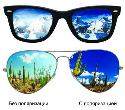 Самые модные солнцезащитные очки весны и лета 2022 | MARIECLAIRE