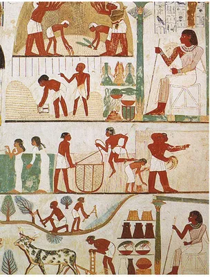 Древние египтяне и красота – описание, фото и видео - Научно-популярный  журнал: «Как и Почему»