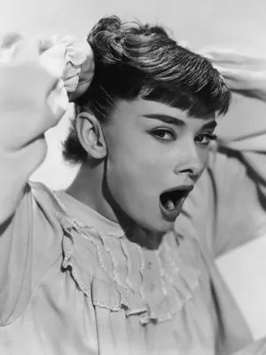 Купить постер (плакат) Audrey Hepburn на стену для интерьера