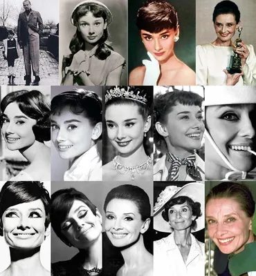 Audrey Hepburn Timeless Movie Star, Iconic Photos