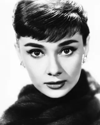 Audrey Hepburn - HD Wallpaper View, Resize and Free Download /  WallpaperJam.com