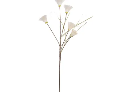 Одуванчик лекарственный ( Taraxacum officinale ). Общий вид цветущих  растений и одиночный цветок крупным планом Stock Photo | Adobe Stock