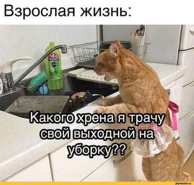 Приколы для него (10 шт.)