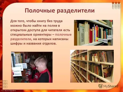 На Псковской улице Великом Новгороде открылась модельная библиотека |  Новгородские Ведомости