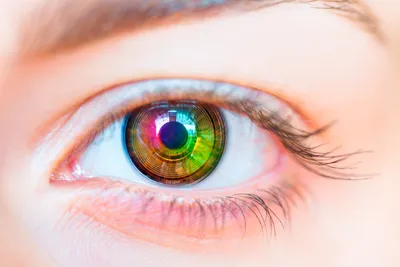 Тесты для проверки глаз - проверка на дальтонизм, дальнозоркость и  близорукость