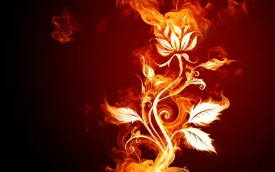 Огненный цветок рисунок - 71 фото