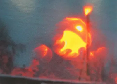 Disney убрал огненные эффекты на выставках по всему миру после трагического  инцидента с драконом | 100 Дорог | Дзен