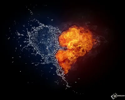 Скачать обои Сердце из огня и воды (Вода, Огонь, Любовь, Сердце) для  рабочего стола 1280х1024 (5:4) бесплатно, Обои Сердце из ог… | Fire heart,  Water art, Fire life