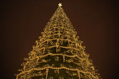 В Белгороде Дед Мороз зажёг огни на главной новогодней ёлке | АиФ-Белгород  | Дзен