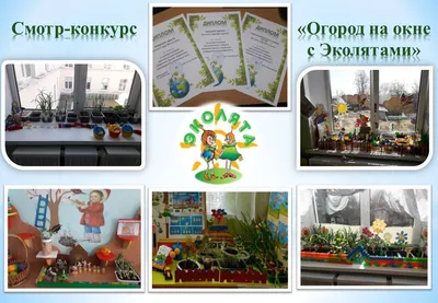 В Смоленском детском саду «Петушок» развели огород на подоконнике | Газета  «Заря»