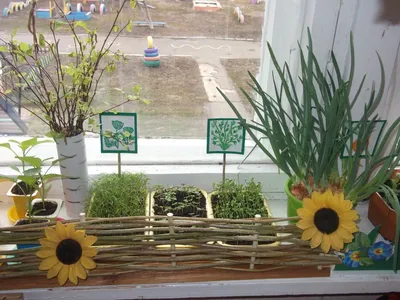 Набор семян \"Огород на окне\" купить в интернет-магазине Семко с доставкой