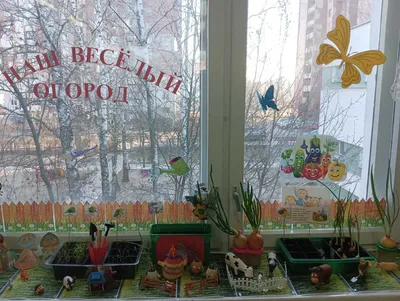 Огород на окне\". - Детский сад Журавушка город Березовский