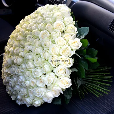 Огромный букет свежих белых роз, артикул F1151808 - 18580 рублей, доставка  по городу. Flawery - доставка цветов в