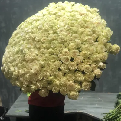 Люкс Букет - цветы Пятигорск. Большой букет белых роз купить с доставкой в  Пятигорске