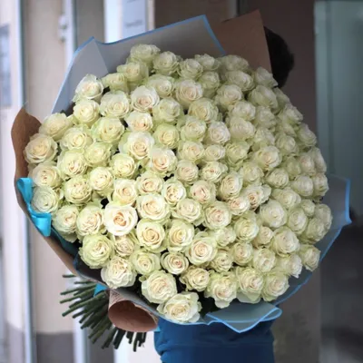 Купить букет из 17 белых роз в коробке по доступной цене с доставкой в  Москве и области в интернет-магазине Город Букетов