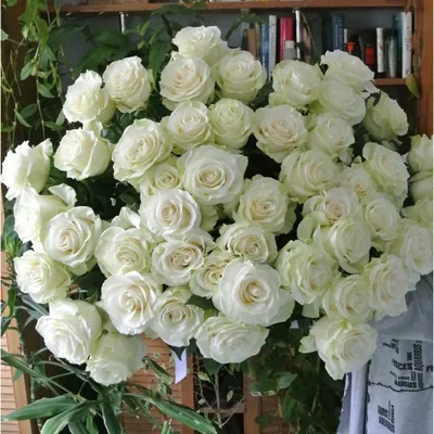 Букет из 101 белой розы «Подвенечное платье» купить в Балашихе в Букет-Элит