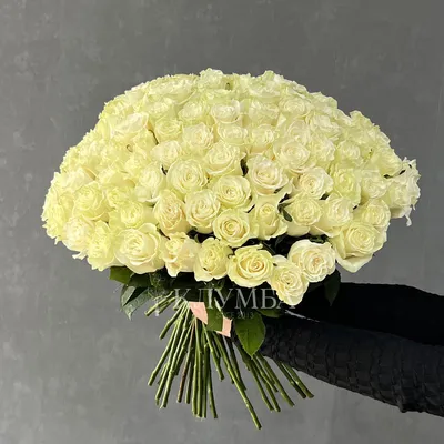 Купить Огромный букет из 151 красных и белых роз в Москве недорого с  доставкой