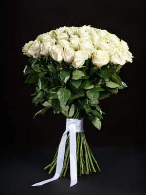 baumarket_of_flowers - Огромный букет белых роз🤩 Думаю, слова тут излишне  🙌 📞Tel,What/App+7(925)919-49-97📲📩 🚖Бесплатная Доставка по Москве и МО  . . . #501роза | Facebook