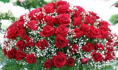 Обязательно ли дарить огромный букет роз возлюбленной?» — Яндекс Кью
