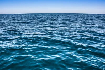 Каким был самый большой океан Земли?