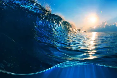 Тайны океанов: 11 интересных фактов - Телеканал «О!»