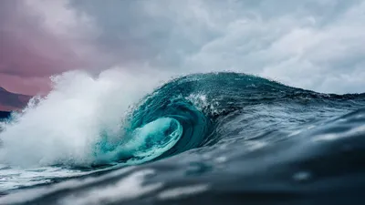 Чем очаровывает Мировой океан: интересные факты - Новости мира - 24 Канал