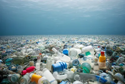Экологи очистили Тихий океан от 103 тонн пластикового мусора — Новые  Известия - новости России и мира сегодня