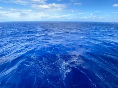 Мировой океан в последние 75 лет теплеет безостановочно