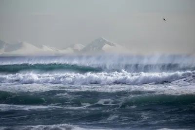 Идеальное место чтобы созерцать мощь океана | Пикабу