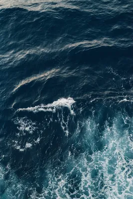 Ученые выяснили, как океан оберегает человечество от вирусов