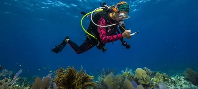Ученые составили уникальный каталог дна Мирового океана