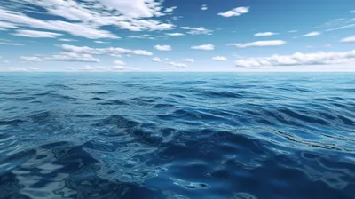 Всемирный день океана: спасти его можно только усилиями всего человечества  | Euronews