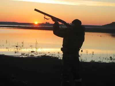 Смотреть фильм Особенности национальной рыбалки онлайн бесплатно в хорошем  качестве