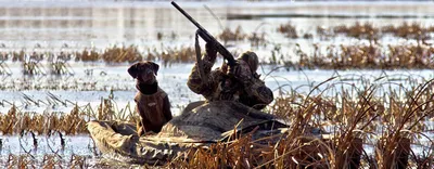Охота на утку весной: выбор снаряжения, подготовка, особенности