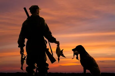 С 1 января 2021 года вступают в силу новые Правила охоты - Департамент  гражданской защиты, охраны окружающей