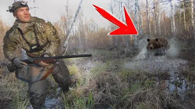 Охота на лисицу в Белоруссии, цены на сайте
