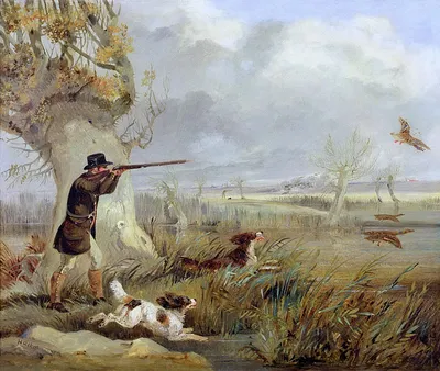 Охота на уток (картина) — Генри Томас Алкен