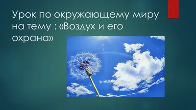 Какие меры принимают люди для охраны воздуха от загрязнения?» — Яндекс Кью